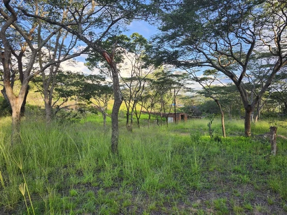 Farm & Agricultural Land