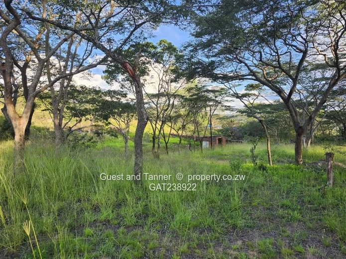 Ruwa Agro-Residential 1.64 Hectare Plot