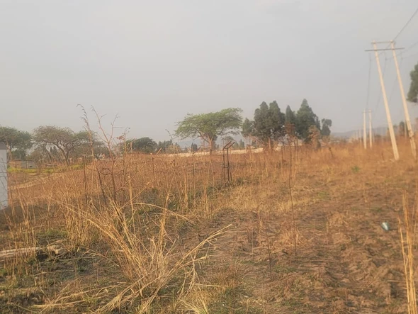 Commercial & Industrial Land