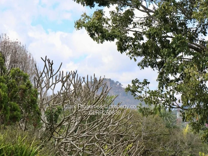 Spacious Grand Home With Vumba Mountain Views