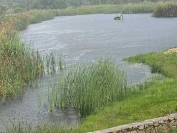 Farm & Agricultural Land