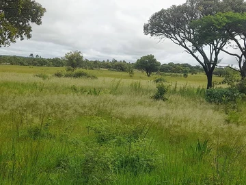 Farm & Agricultural Land