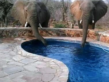 4 Bedroom Townhouse Complex