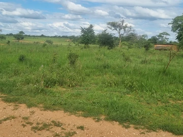 Farm & Agricultural Land
