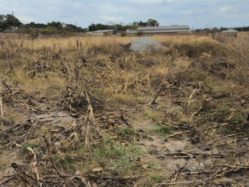 Stands & Residential Land