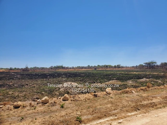 Rusape Alloa Brooke Stands for sale – Gated Community
