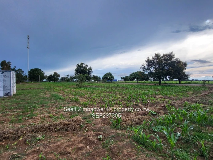 Ready To Build Stand In Waterfalls