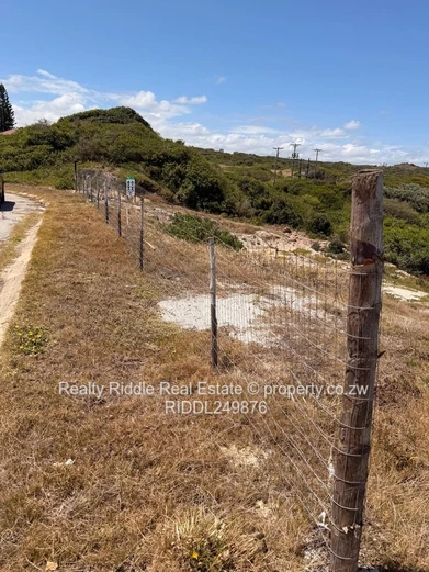 Eastern cape  stand. SEA FRONT LAND 