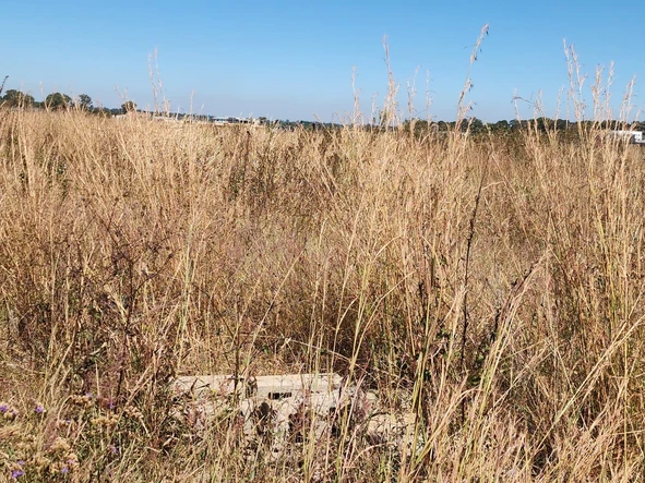 Stands & Residential Land