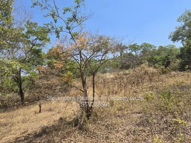 Massive development land for sale along Crowhill Road 