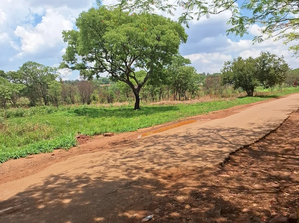 Stands & Residential Land