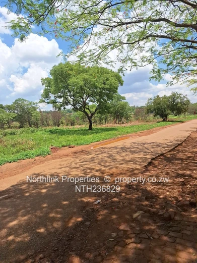 Vacant residential stands 