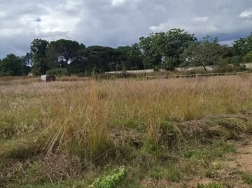Land