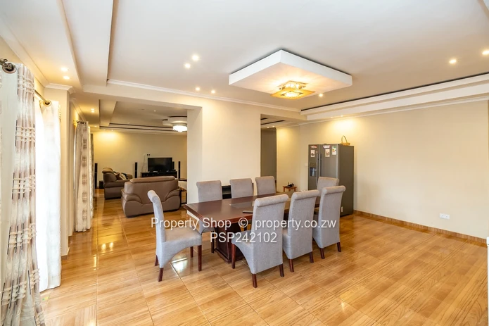 Endless Possibilities In Glaudina