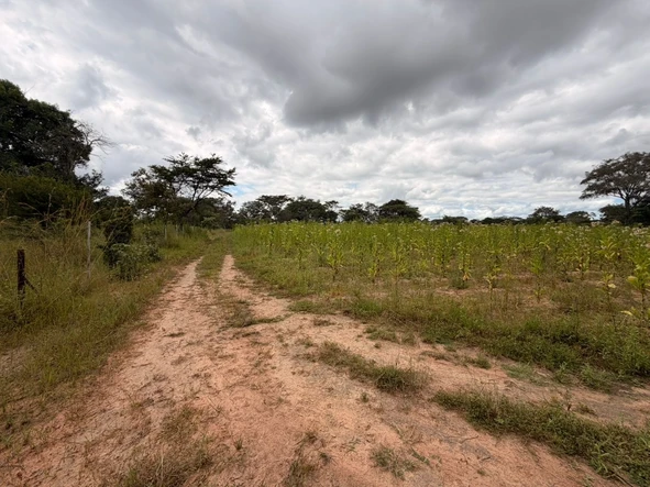 Farm & Agricultural Land