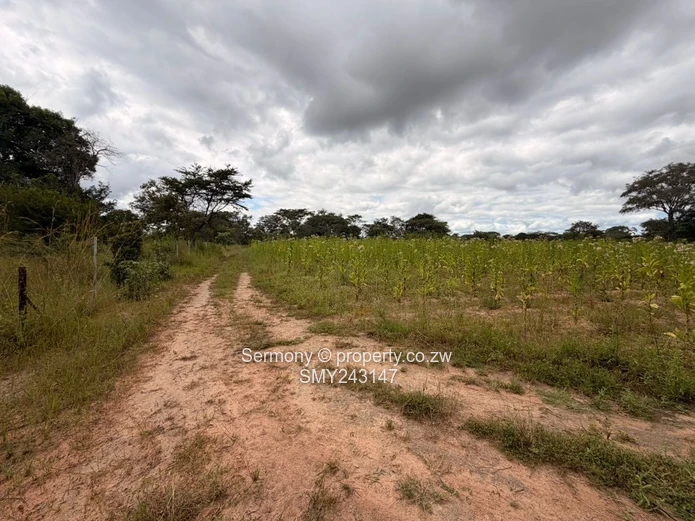 Plots for sale in Chegutu 