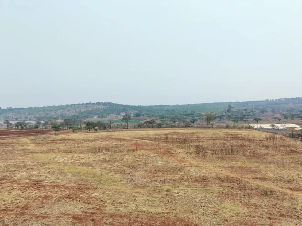 Farm & Agricultural Land