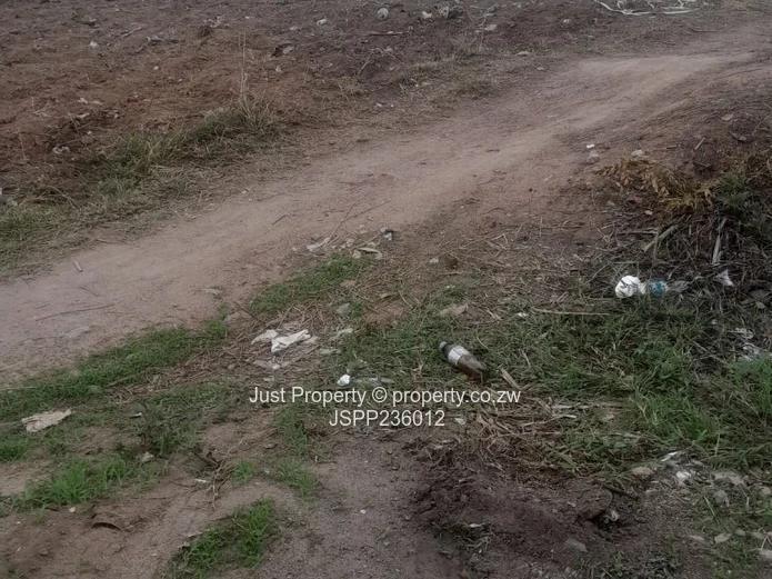 Msasa Park the Castle