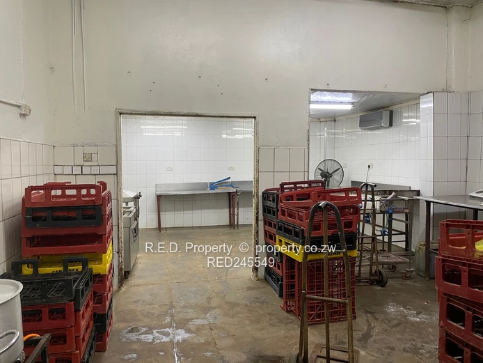 Business and Executive