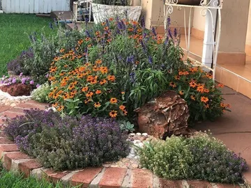 3 Bedroom Townhouse Complex