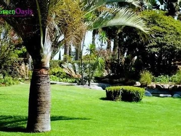 Commercial Property