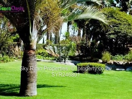 Snake Park Resort For Sale