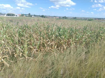 Commercial & Industrial Land