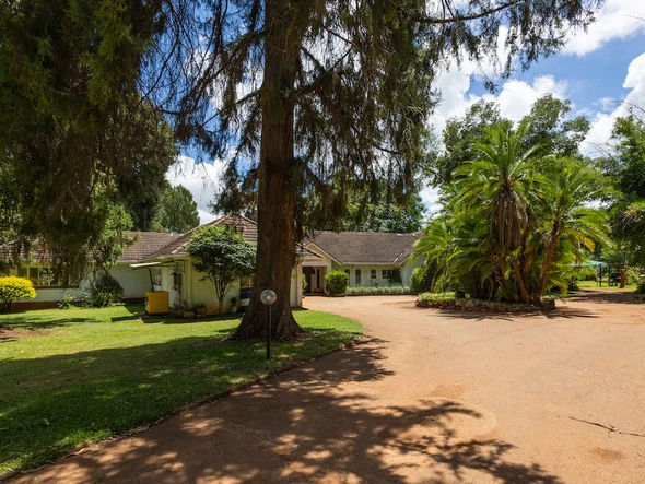 Commercial Property
