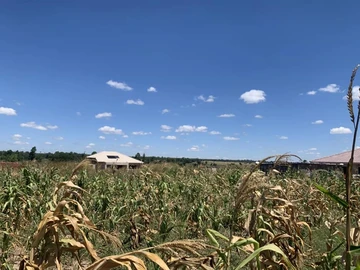 Stands & Residential Land