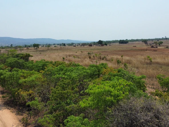 Farm & Agricultural Land