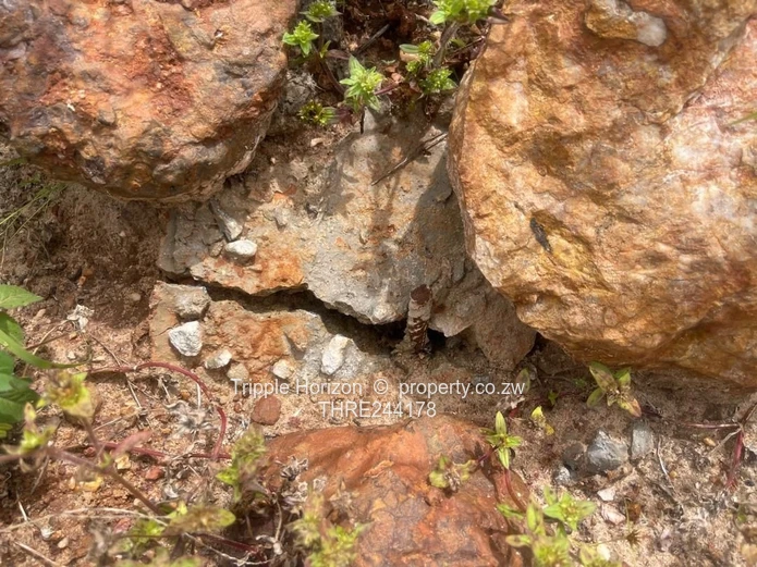 Greendale cluster stands opposite lustania school