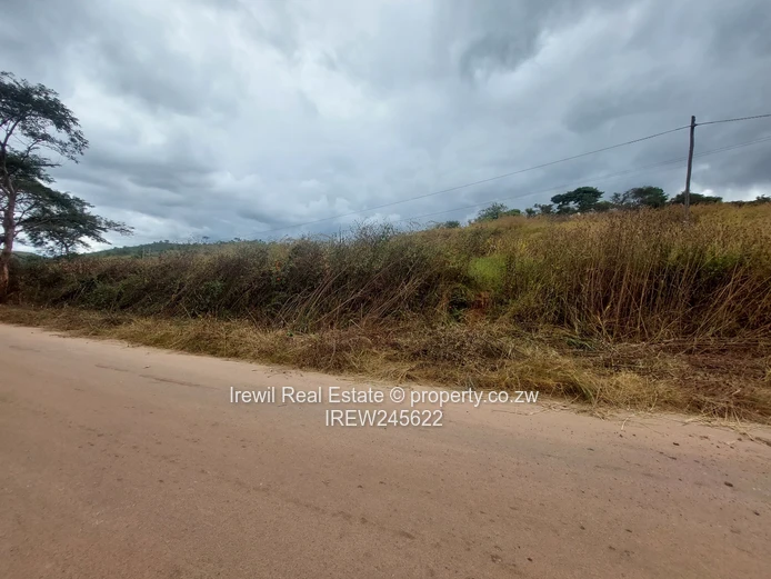 Shawasha Hills Stands on Sale (Sole Mandate)