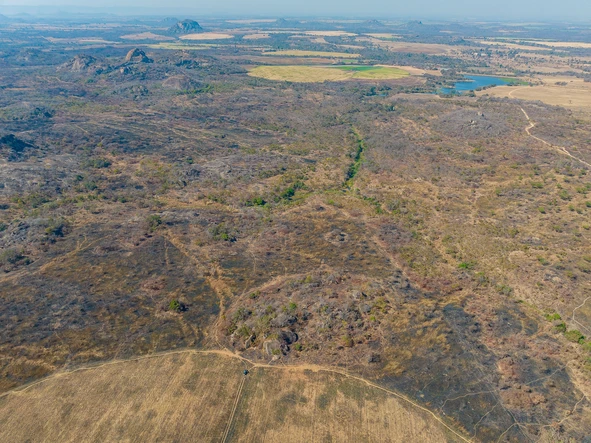 Farm & Agricultural Land