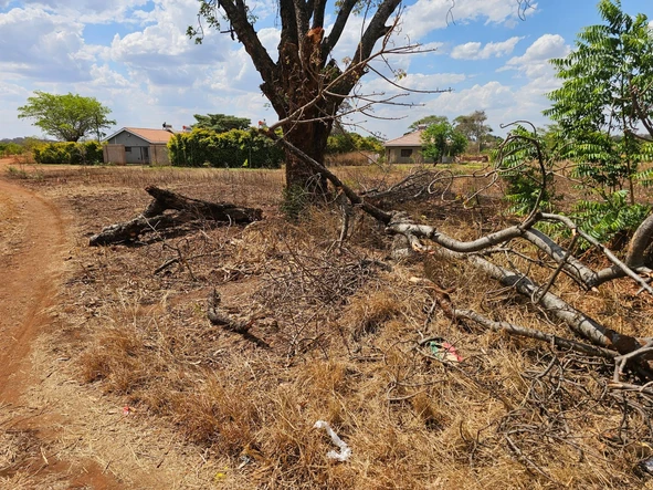 Commercial & Industrial Land