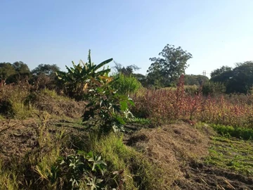 Commercial & Industrial Land