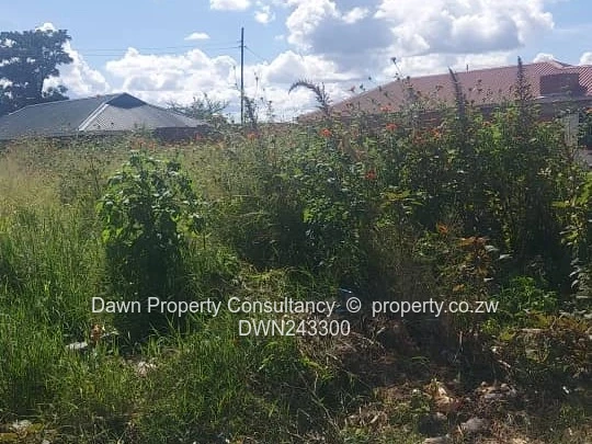 Nyabira Residential Stand for Sale (Sole Mandate)
