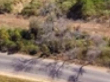 Commercial & Industrial Land