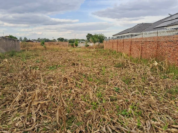 Stands & Residential Land