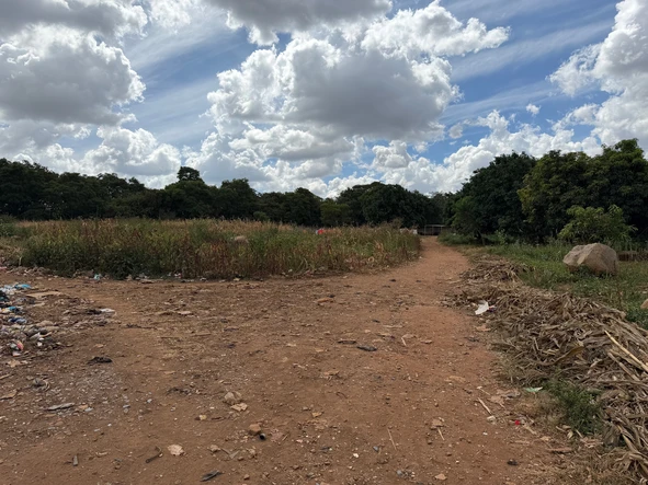 Commercial & Industrial Land