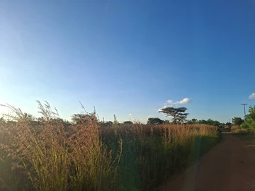Farm & Agricultural Land