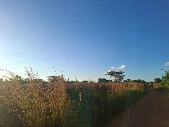 Farm & Agricultural Land