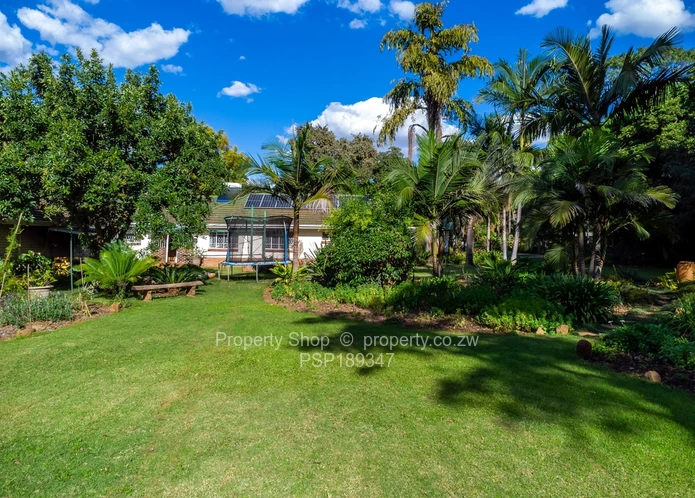 Hidden Gem in Chisipite