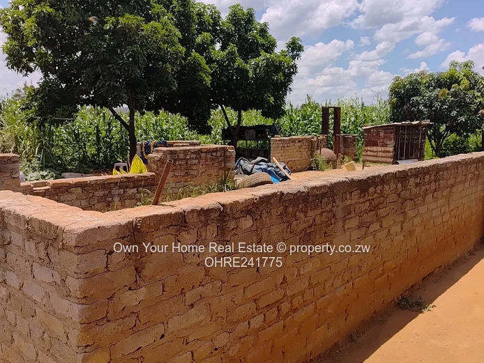 Nharira views, Norton stand for sal 