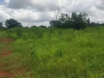 Stunning Land Opportunity 