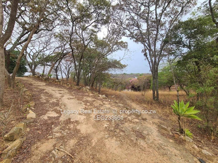 Prime 1.6-Hectare Plot for Sale in Christon Bank