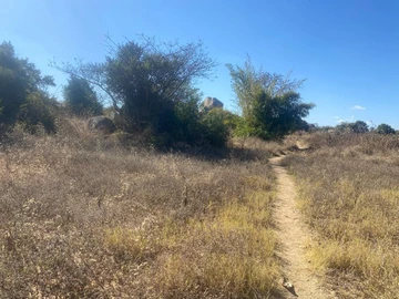 Commercial & Industrial Land