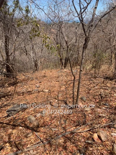 Kariba Heights Stand for Sale – Mushonga Ridge Road (Sole Mandate)