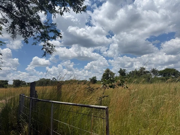 Farm & Agricultural Land