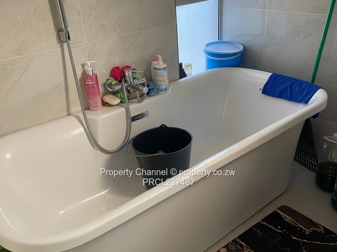 A charming and homely property in Avondale West 