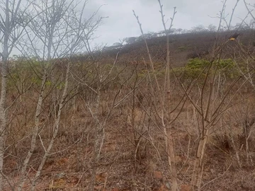 Farm & Agricultural Land